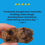 100 calorie high fiber snack – cookie dough chocolate chip